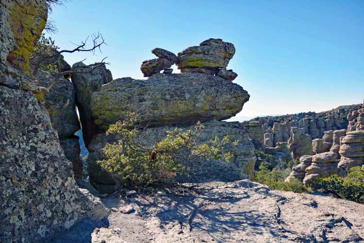 many rocks